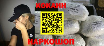 крисы Шелехов