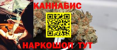крисы Шелехов