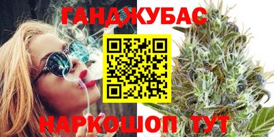 крисы Шелехов