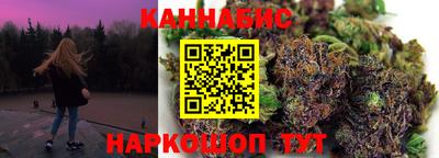 крисы Шелехов