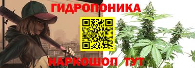 крисы Шелехов