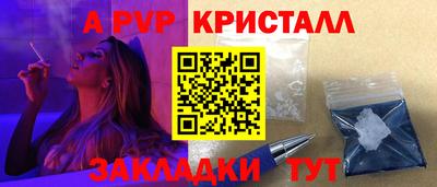 крисы Шелехов