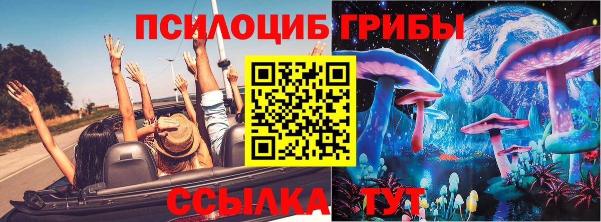 Выкса  Галлюциногенные грибы мицелий  Вход с VPN 