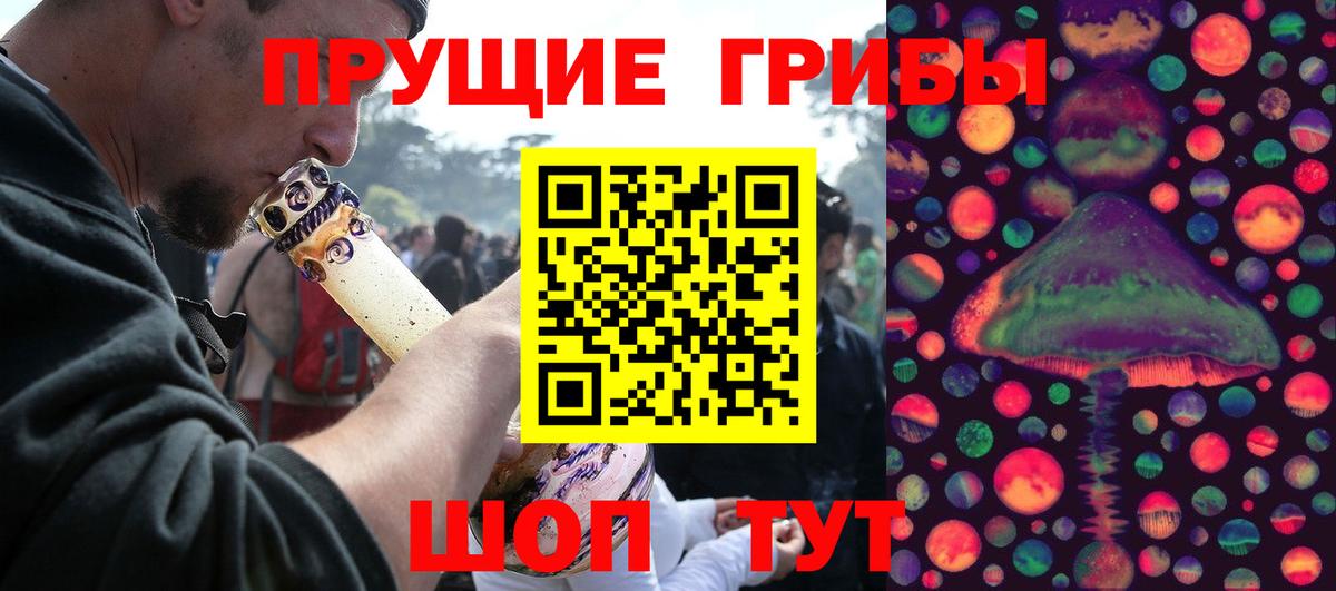 Псилоцибиновые грибы Cubensis Выкса